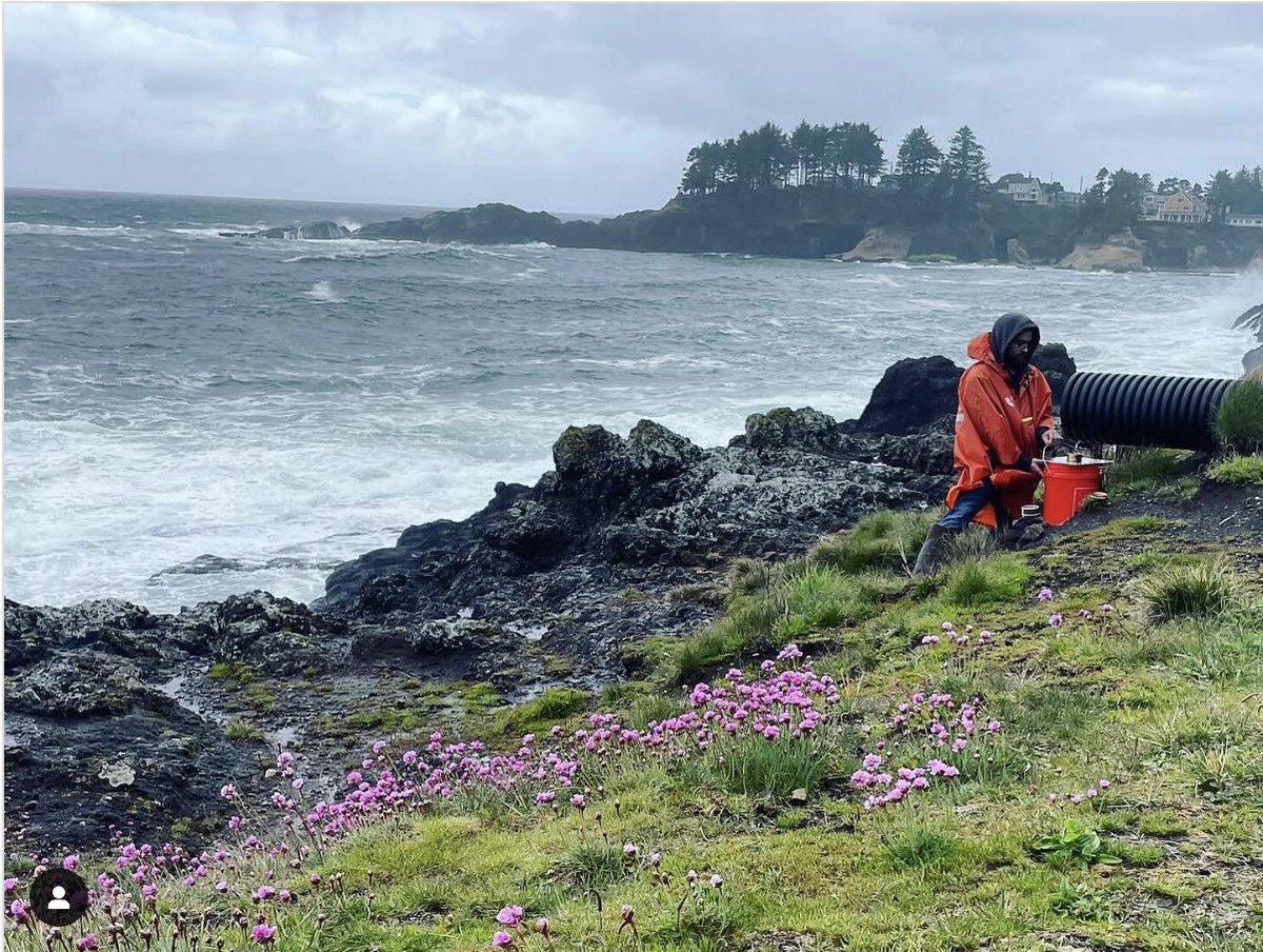 pnwmicroplastics (@pnwmicroplastic) on Twitter photo For #plasticfreejuly we’re sharing the great work our consortium does on #plastics & other pollutants too!
Patrick is a fish technician with many other talents, e.g. sampling and installing washer filters in coastal towns to mitigate microfibers!
<a href="/OSU_Coastal/">Coastal Oregon Marine Experiment Station</a> <a href="/pnwmicroplastic/">pnwmicroplastics</a> For #plasticfreejuly we’re sharing the great work our consortium does on #plastics & other pollutants too!
Patrick is a fish technician with many other talents, e.g. sampling and installing washer filters in coastal towns to mitigate microfibers!
<a href="/OSU_Coastal/">Coastal Oregon Marine Experiment Station</a> <a href="/pnwmicroplastic/">pnwmicroplastics</a>