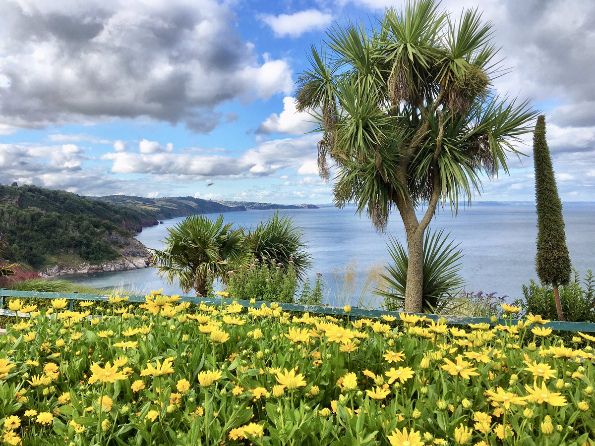 South Devon Style tweet media