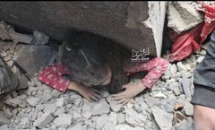 ألسنتنا صامته لكن قلوبنا تضج بالانيين والحسرة والانكسار لما يحدث لأهلنا في غزة .