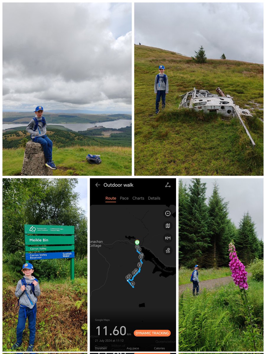 Harris Skene tweet media