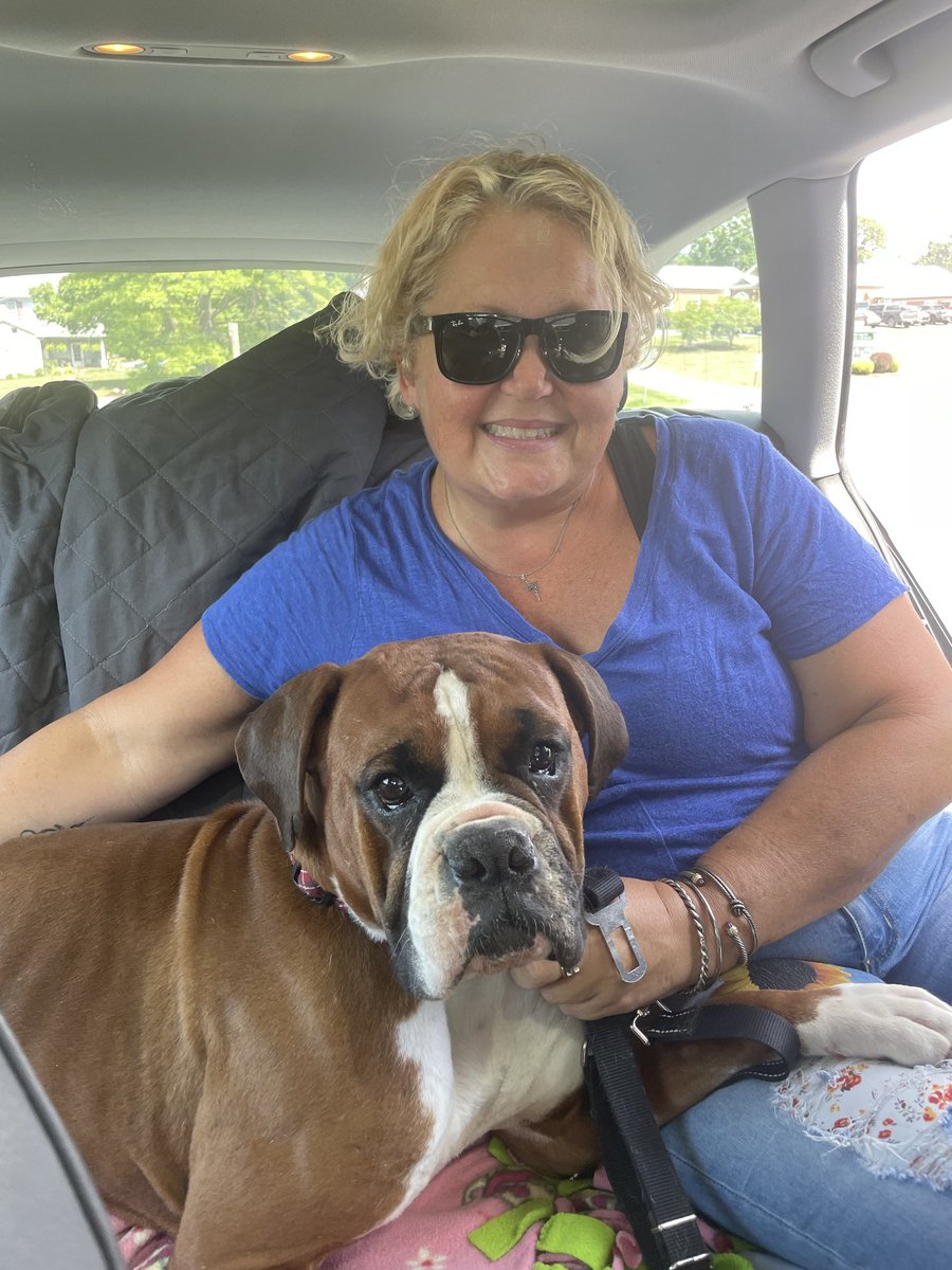adopt_boxer's tweet photo. Happy Sunday! Crystal was adopted today. No more mill for her. She is now living in #Steelercountry #pittsburgh #adopted #rescuedogs #saynotopuppymills #adoptdontshop #boxerdogs #boxerdoglover #family #boxerworld #boxerlife #adopted https://t.co/ubpJSfatD9