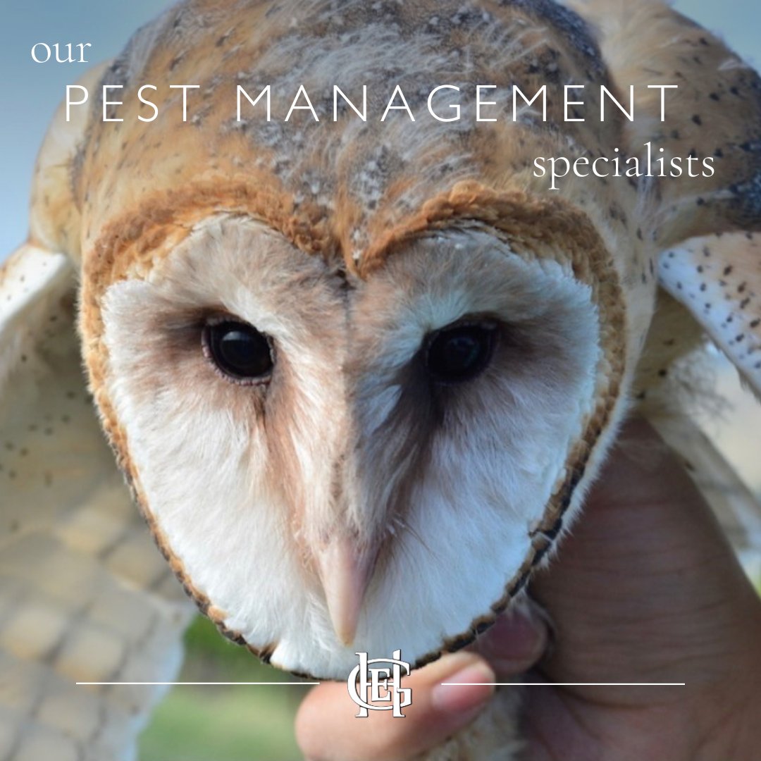 An 'owl'-natural way of keeping pesky rodent populations at bay, we see dozens of owl families making themselves at home in our many nest boxes each year. We're happy to rent the space to them - in exchange for their work as our gopher-catching team!