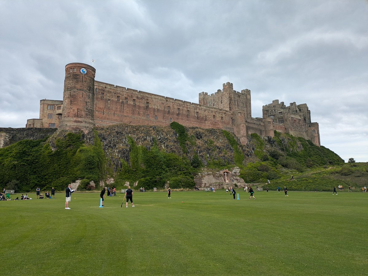 alan revel tweet media