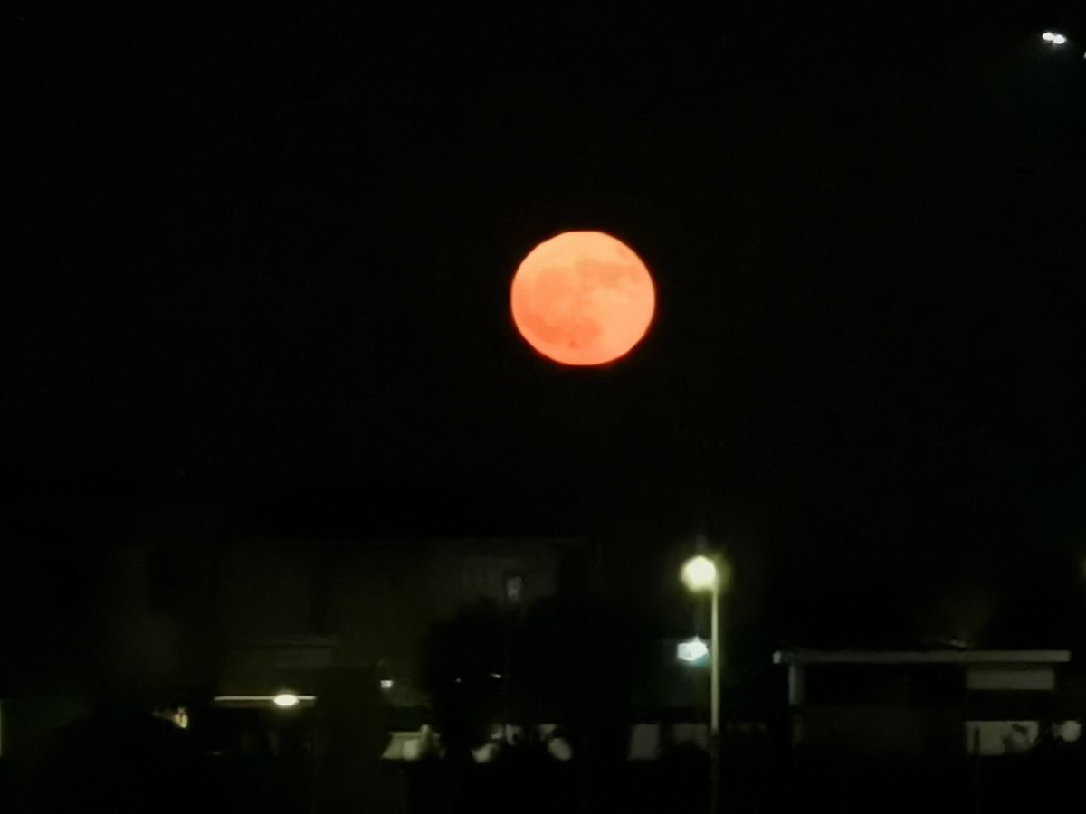 meando_arnt's tweet photo. Σου μιλω και κοκκινιζεις... #fullmoon #easyreference https://t.co/4Ph4JTzf9f