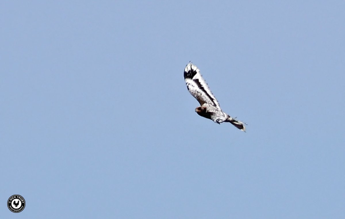 Old Caley tweet media