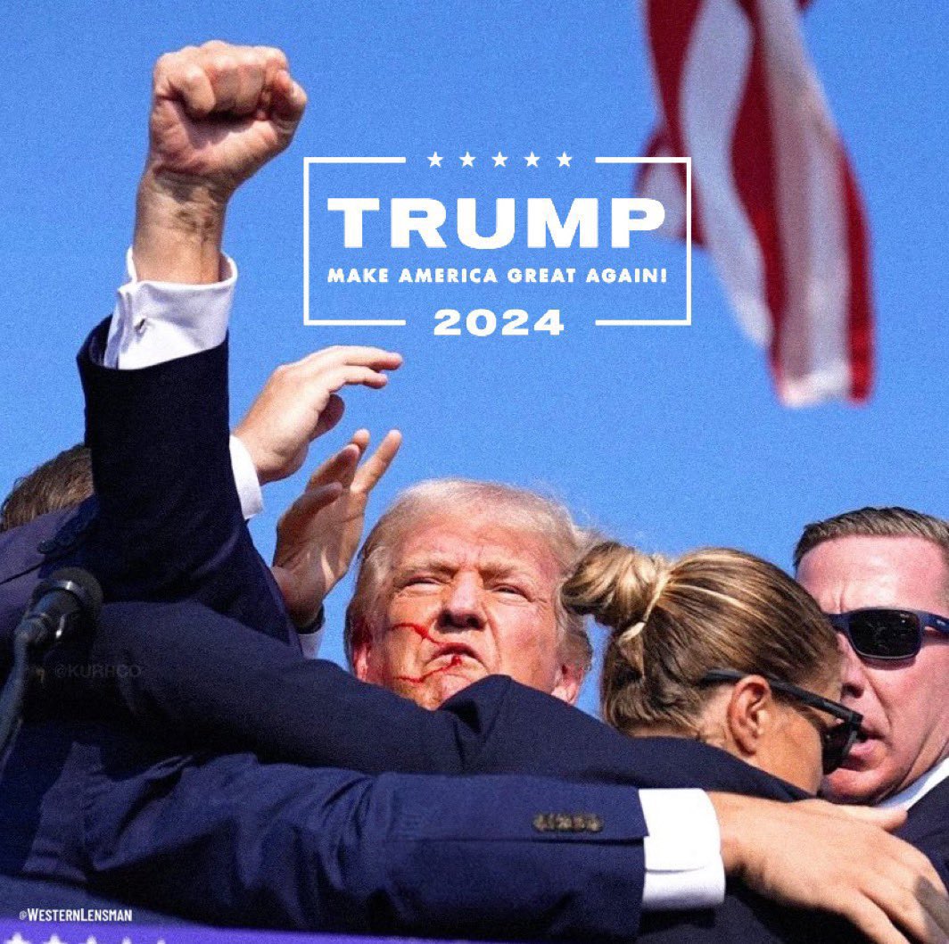 Daily Trite🇺🇸 tweet media
