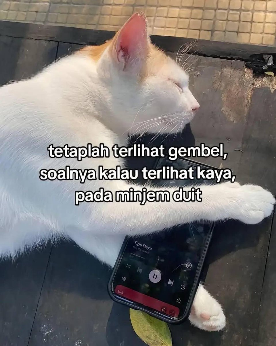 sosmed keras tweet media