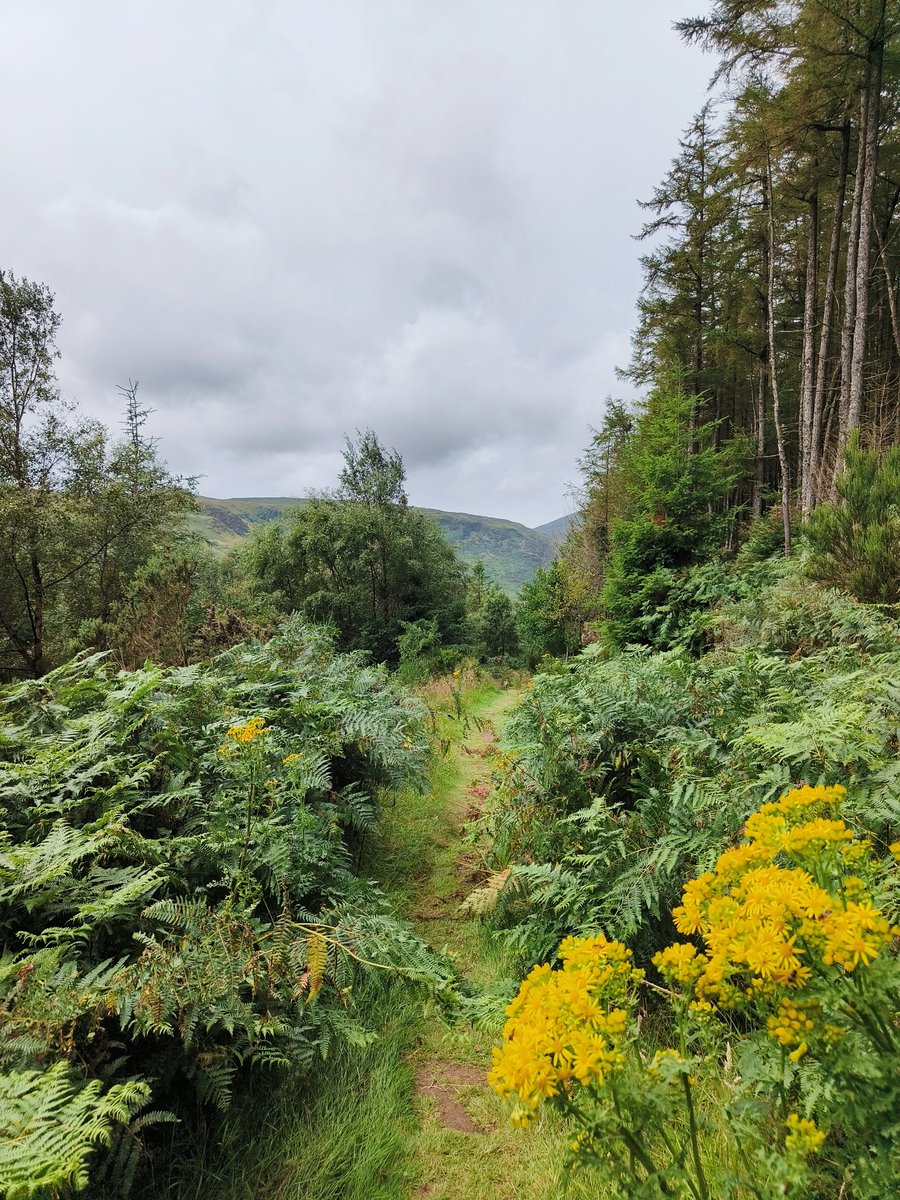 Lovely hike today with magical scenery 🤩 

Anyone been to Arran?