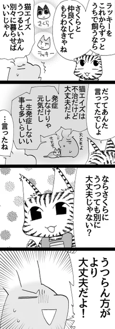 四コマ「さくらとラッキー1」  結局今は別々に暮らしてます。そこに至るまでの経緯です。  #猫 #四コマ漫画 #御かぞくさま御いっこう