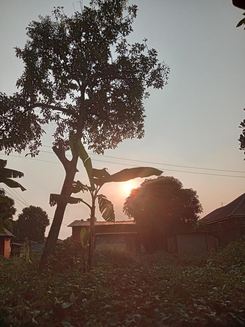 Pearlguidee's tweet image. #SUNSET_LOVERS📍

Where did you the sun set off today, 
Good  evening  uganda 🇺🇬,  EastAfrica, Africa, Asia, Europe, Latin, Caribbean,  

#BeautyFul_Destinations  is your number 1⃣ destination  for beauty #visit  #visit 🇺🇬 #explore 🇺🇬