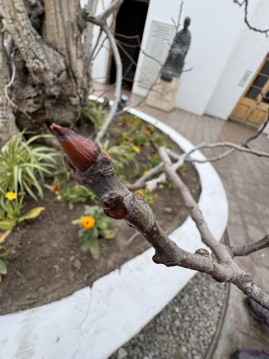 Sir Chandler Blog tweet media