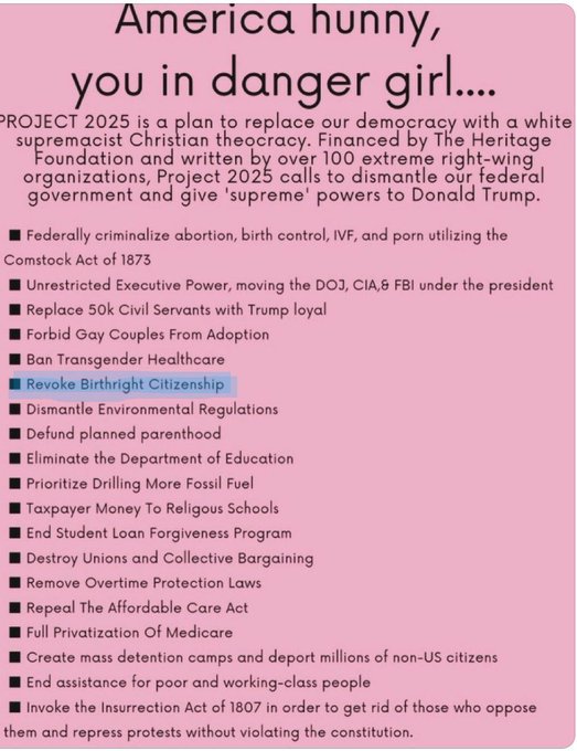 I hope all the porn stars and directors and porn fans supporting orange face - project 2025 plans on
