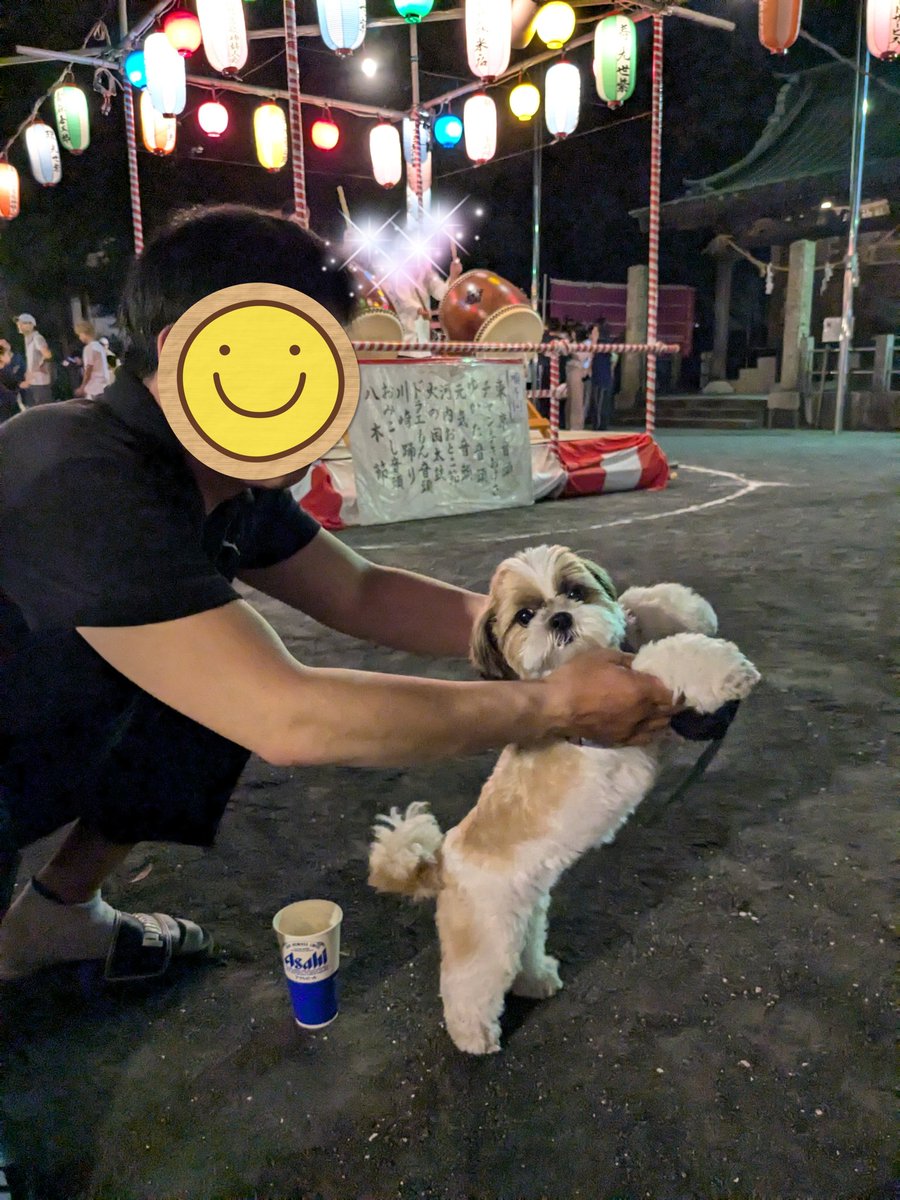 shizubon0618's tweet photo. 昨日・今日といつもお散歩してる公園の盆踊りに行ってきたよ♪
太鼓や音楽が怖い🐶も多いみたいだけど、シズは全然大丈夫みたいでグイグイ行きます😆
花火大会や遠くのお祭りは無理だけど、ご近所ならではの楽しみでした✨
#犬  #鼻ぺちゃ犬 #シーズー #もふもふ  #愛犬    #shihtzu #盆踊り #お祭り https://t.co/A5zqmux9DH
