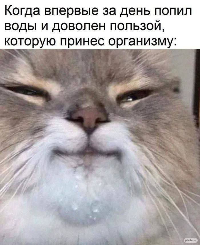 🐸жабья принцесса👑 (@kxiq7u7oc8nsgnc) on Twitter photo 
