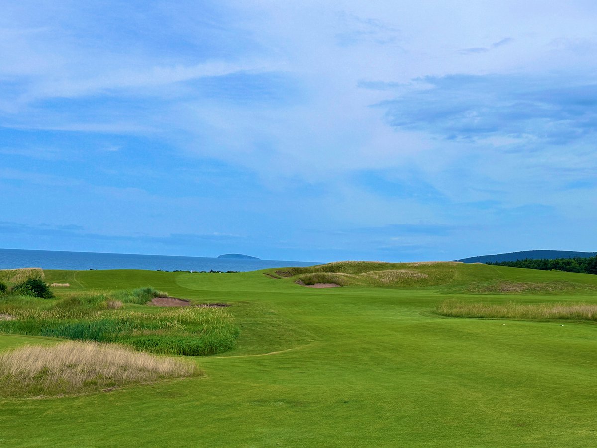 Rick Golfs tweet media