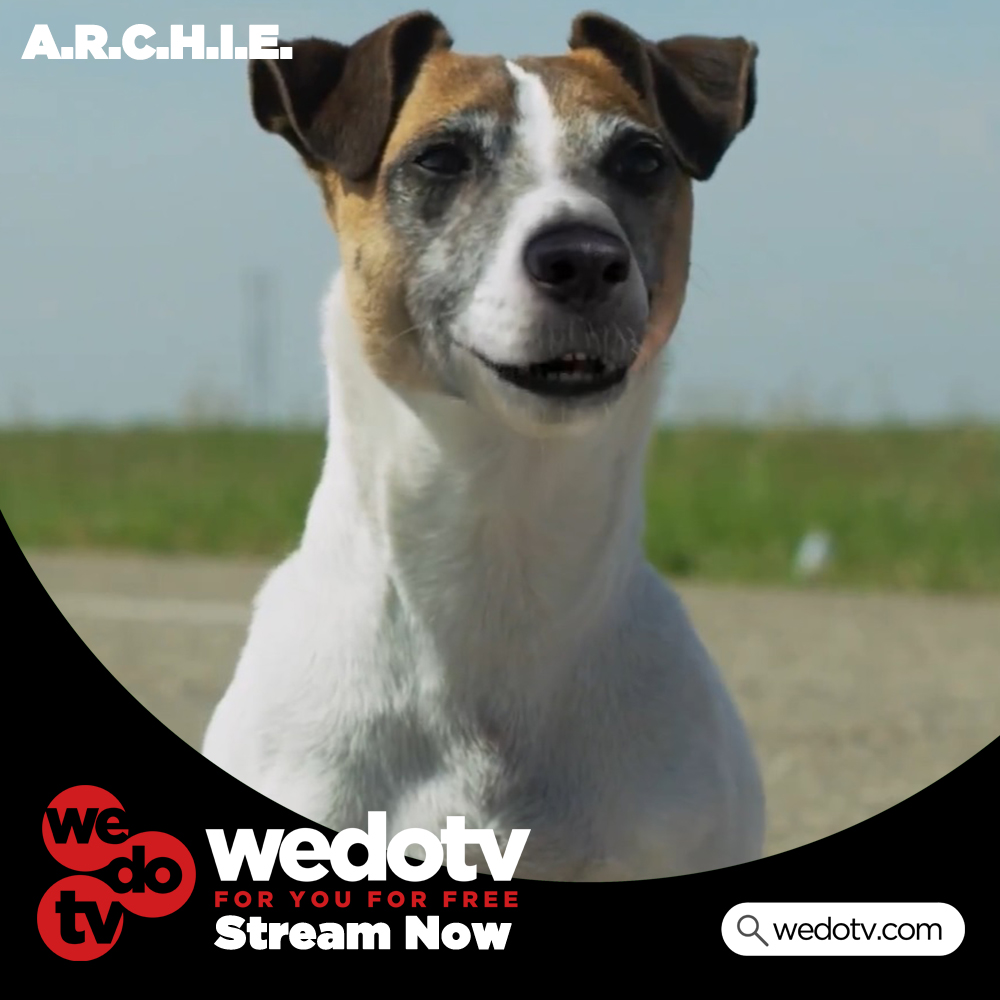 WedotvOfficial's tweet photo. Let the summer holidays begin! Don't worry mom and dad, we've got plenty of free to view entertainment to keep your kids entertained! Check out this pair and let the rest begin!
#wedotv #freemovies #michaeljfox #katharineisabelle #robindunne https://t.co/BYNoyWymts
