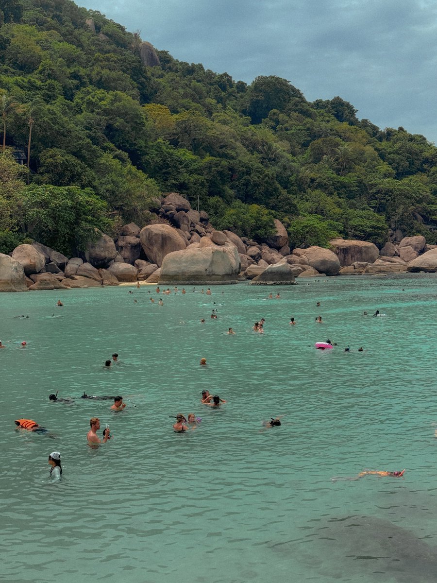 bjauntanywhere's tweet photo. เกาะนางยวน 🏖️🫧🤿  เกาะเล็กๆ ห่างจากเกาะเต่านิดเดียว คือถ้าใครไปเกาะเต่าก็ควรพ่วงไปนางยวนด้วยสักวันนึง นี่จองเรือแบบเดย์ทริปไปดำน้ำรอบเกาะเต่าแล้วเขาแวะให้เที่ยวที่นี่เกือบๆ 2 ชั่วโมง โอเคเลยนะ เล่นน้ำ อาบแดดหรือใครจะเดินขึ้นเขาไปดูวิวก็ได้หมด ช่วงนี้ฝรั่งเยอะมากกก ไวป์ดีไม่แพ้ต่างประเทศเลย