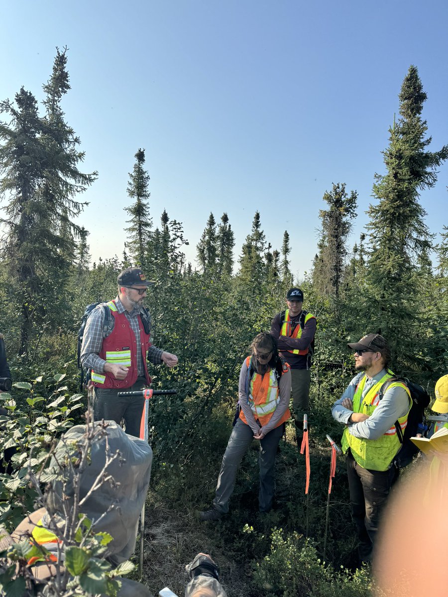 tephrafan's tweet image. First day of Permafrost field school in Inuvik. Visiting the Navy Road burn where permafrost response has been monitored for 50+ years with Steve Kokelj. Followed by an afternoon tour of permafrost issues in Inuvik with former mayor Peter Clarkson #NSERC, #CREATE #PermafrostNet.