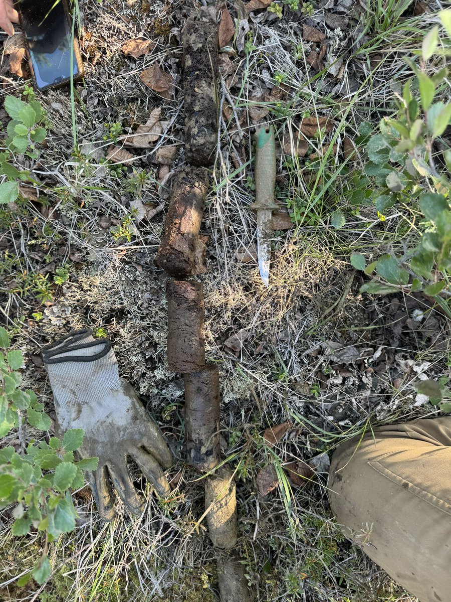 tephrafan's tweet image. First day of Permafrost field school in Inuvik. Visiting the Navy Road burn where permafrost response has been monitored for 50+ years with Steve Kokelj. Followed by an afternoon tour of permafrost issues in Inuvik with former mayor Peter Clarkson #NSERC, #CREATE #PermafrostNet.