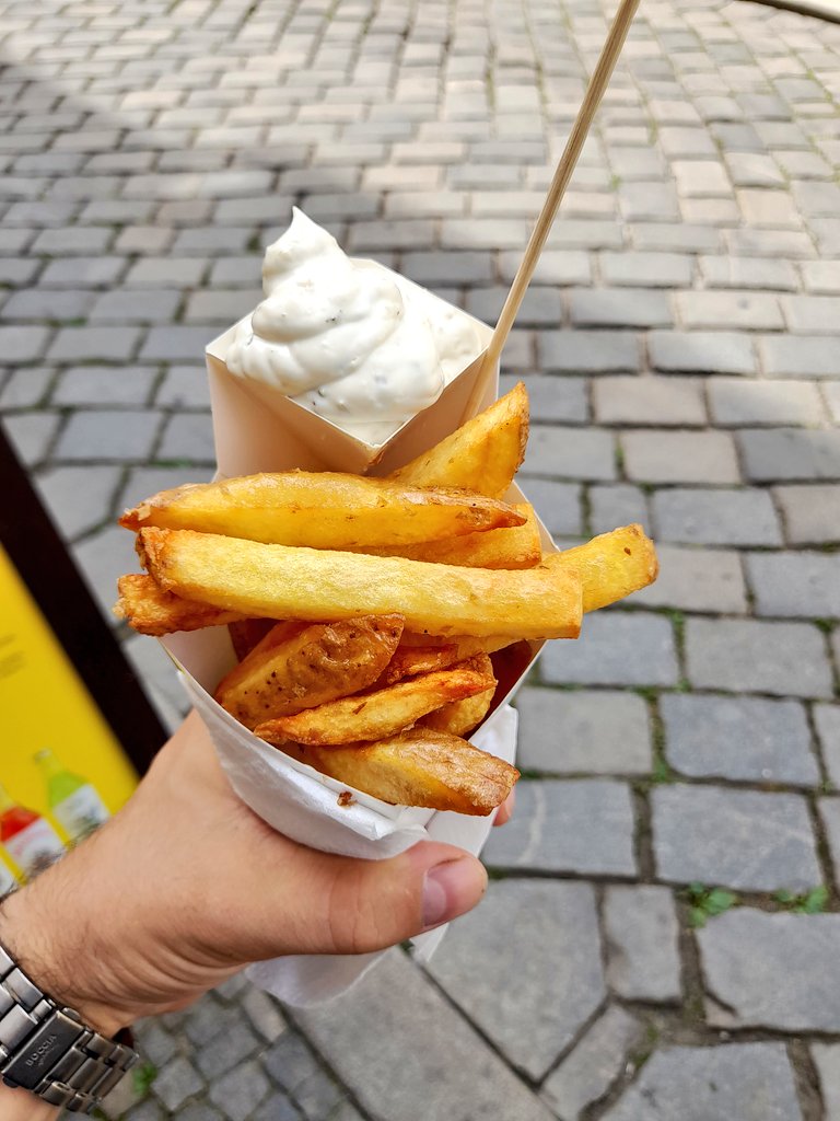 JanSuch6's tweet photo. První @Faencyfries které jsem poznal bylo to tady v Olomouci. #Faencyfries https://t.co/g6W2kzmM6t