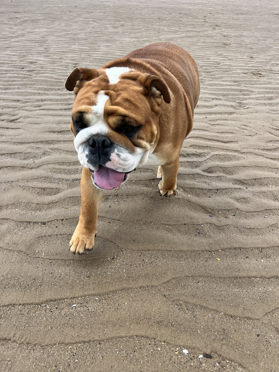 Fun times ❤️❤️❤️<a href="/Trotternicholls/">Adrian Nicholls</a>