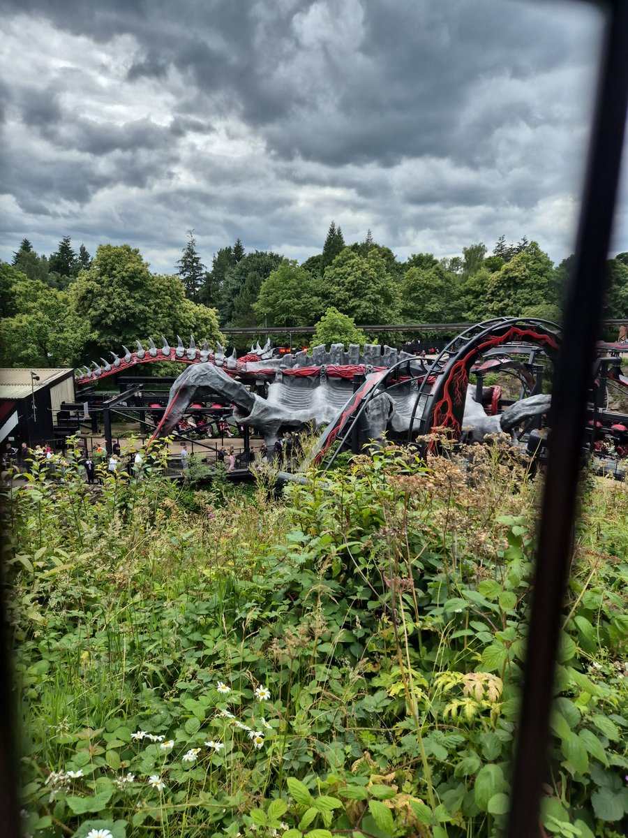 Claire Ingle ๐ฒ๐น/๐ด๓ ง๓ ข๓ ท๓ ฌ๓ ณ๓ ฟ (@clairework2) on Twitter photo Some Rollercoaster fun Some Rollercoaster fun