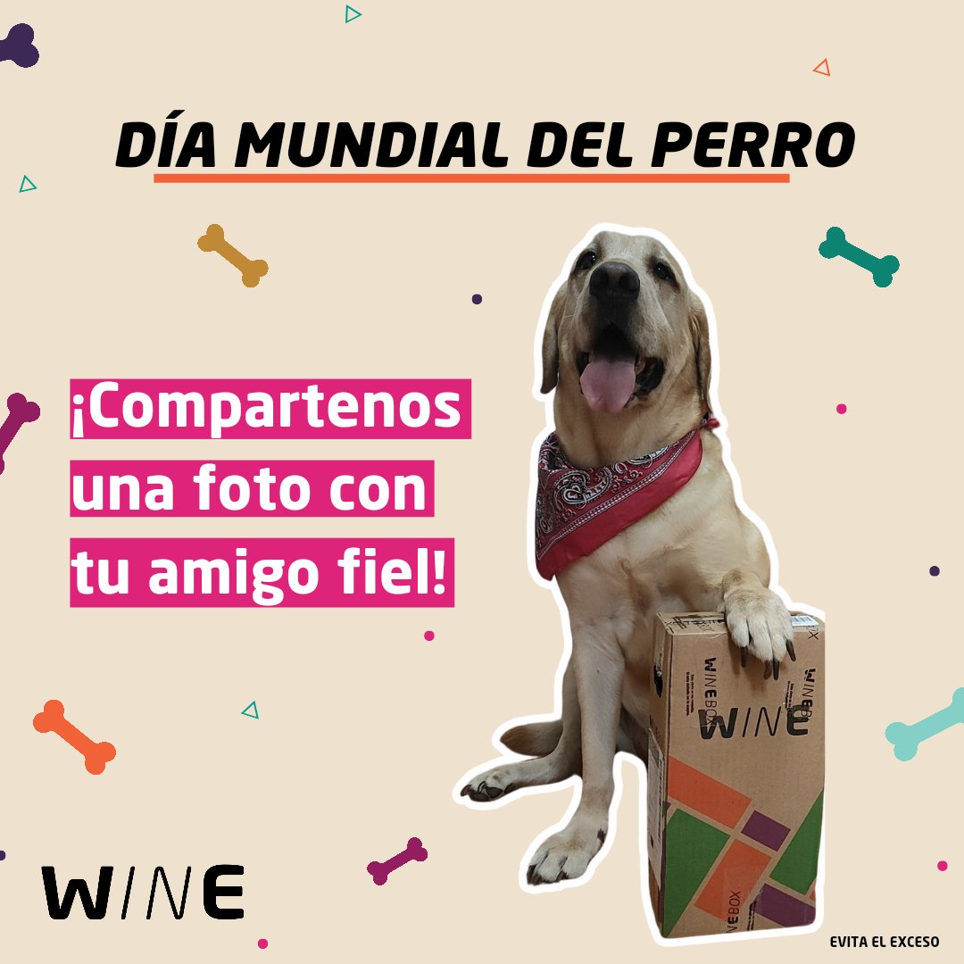 clubwinemx's tweet photo. 🐶🎉 ¡Feliz Día Mundial del Perro! En Wine celebramos a ese amigo fiel.
📸 ¡Compártenos una foto de tu perrito y celebra con nosotros!
#DíaMundialDelPerro #wineMX #AmigosFieles #clubwine #winebox https://t.co/Sd8ORM8k3f