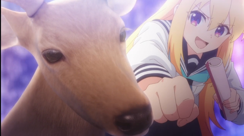 圖 在奈良踢鹿會怎樣嗎?