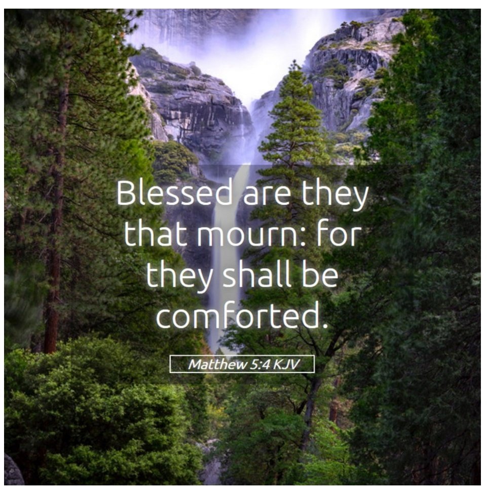 toni_triano's tweet photo. @mark_joubert I have been following your journey for months, as so many others have. Your Beautiful family has touched countless lives. Thank you for letting us share in the love for Baby Gus with you. We grieve with you & will keep you & your wife in our prayers. God Bless you. 🙏❤️ #RIPGus https://t.co/yZ0XXrwVZ4