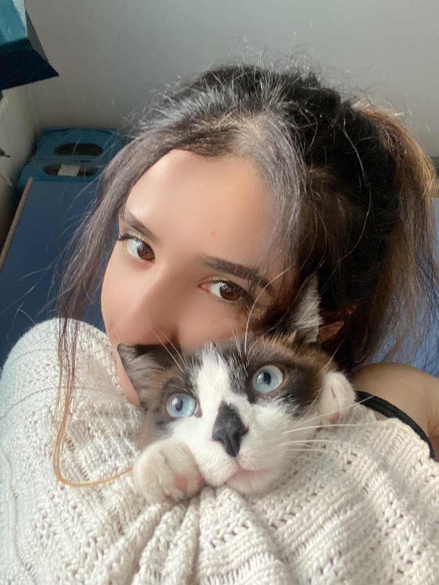 Ellie ​🍃 tweet media