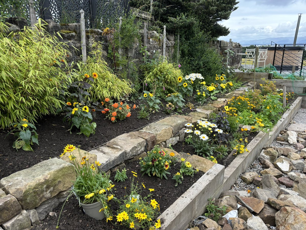 A lot of an happen in 5years. Nearly finished the dry stane wall.