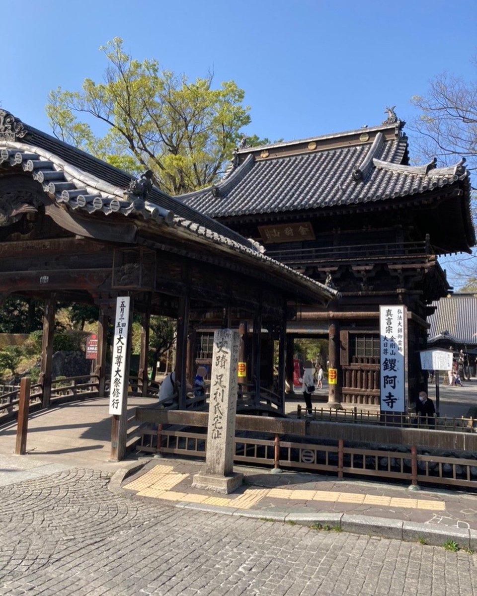 DelmerLadd's tweet photo. 栃木県足利の大日尊 鑁阿寺(ばんなじ)を参拝🙏

広い敷地に歴史ある建造物が沢山あり、本堂は国宝に、鐘楼(6枚目)と一切経堂(7枚目)が重要文化財に指定されています。

#鑁阿寺 #国宝 #名城百選 #寺社仏閣 #史跡巡り #史跡巡りが好きな人と繋がりたい #寺社仏閣好きな人と繋がりたい https://t.co/A7AxW1XtaG