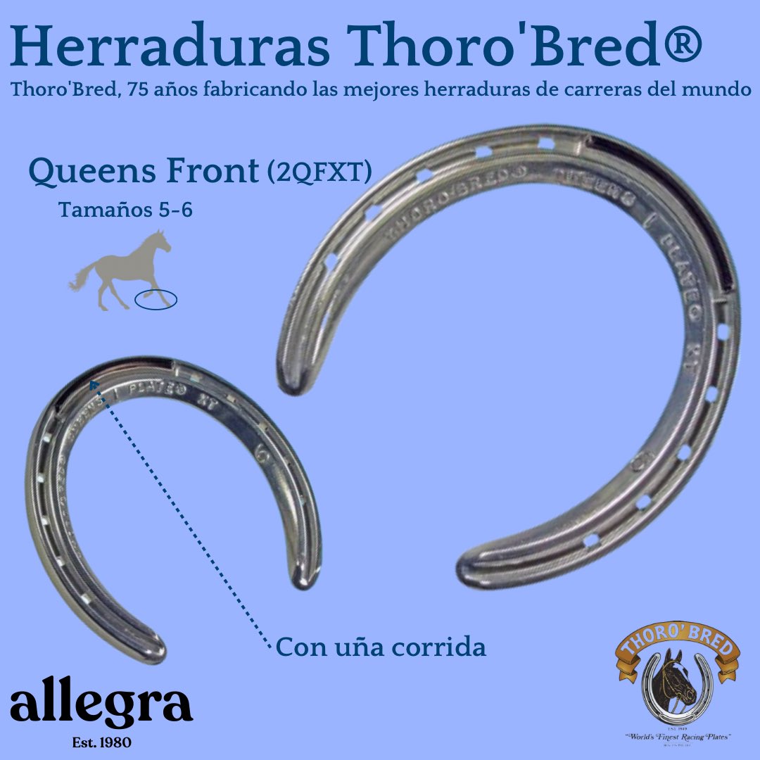 allegrapets's tweet photo. 🏇 Herraduras Thoro'Bred Queen Front (163 gramos) 🏇

La Queens Front es el estándar de oro de las herraduras de carreras.

La puntera XT de acero endurecido sobresale 0,080" (2 mm) por encima de la superficie de aluminio para brindar tracción adicional. https://t.co/bPoBX5smDy