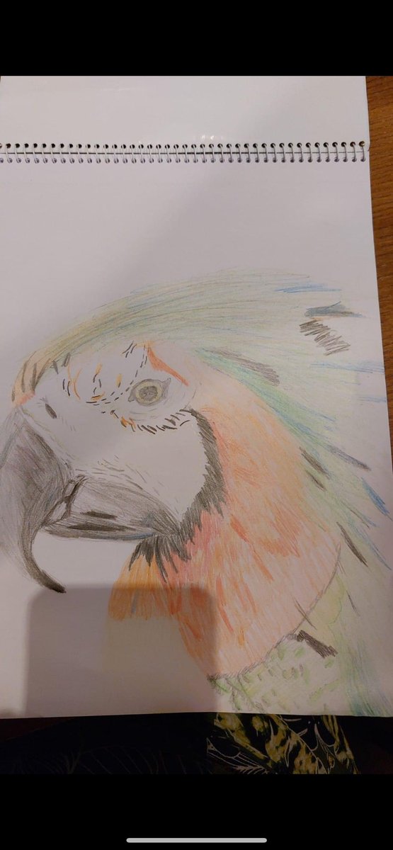 LLEvans1293's tweet photo. We surprised the kids with a weekend away in the Lake District… Leo drew a free hand parrot whilst in the car. 🚗 @TeamCherryDale @TeamEagles20 https://t.co/dU53DsNZha