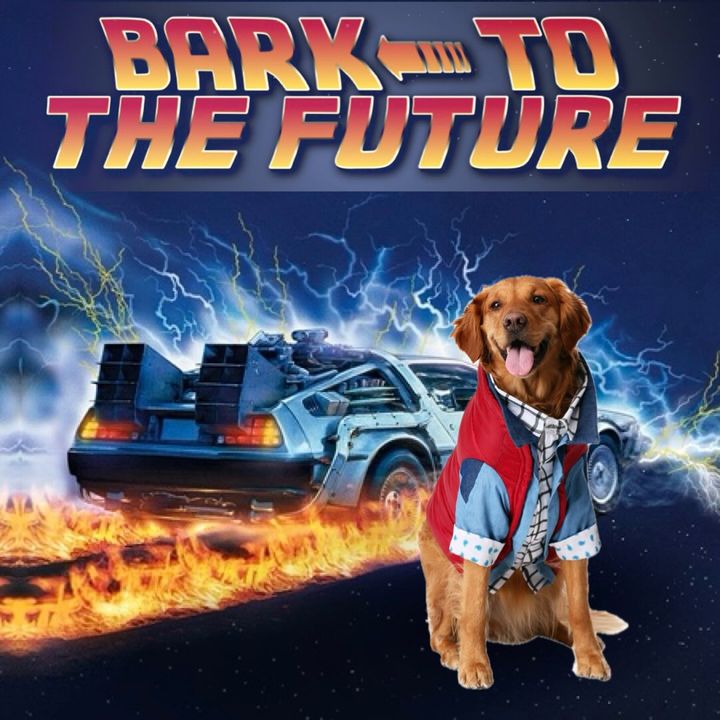 Bromley Picturehouse tweet media