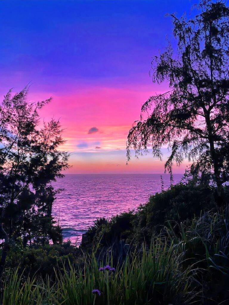 ConnectAssists's tweet photo. なんて素敵な眺めでしょう🥰 https://t.co/l88GaHhzGJ