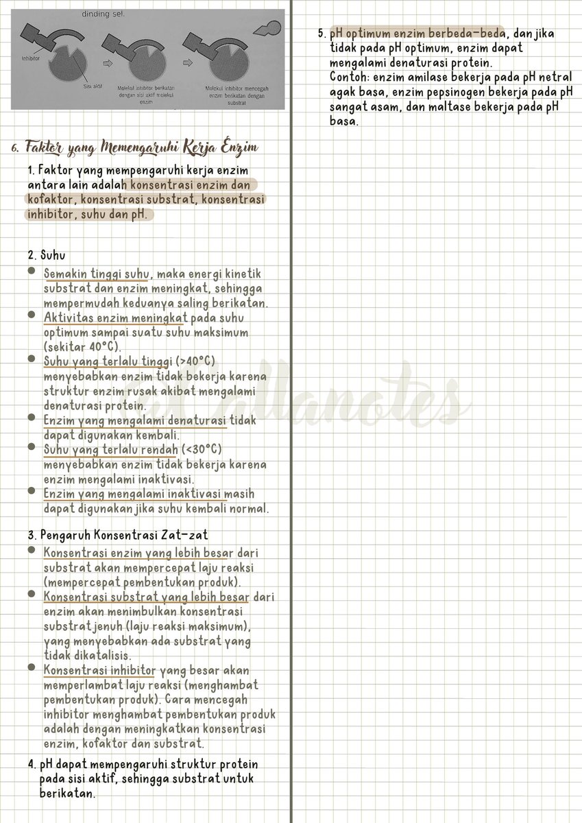 fidelafirja's tweet photo. Materi biologi kelas 12- Enzim dan Metabolisme 
.
.
.
#enzim #metabolisme #biologi #sma #kelas12 #catatan https://t.co/4ONdOne5OO