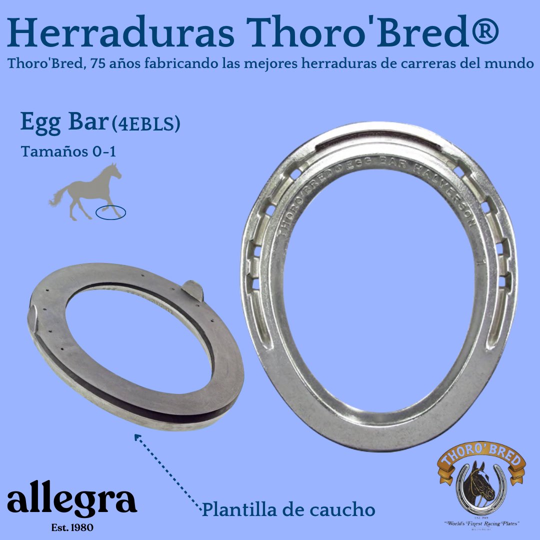 allegrapets's tweet photo. 🏇 Herraduras Thoro'Bred Egg Bar con plantilla (281 gramos) 🏇

En forma ovalada ofrece un soporte de 360 grados. Tiene clips laterales, un alivio en la suela y orificios avellanados.

La plantilla ayuda a absorber los impactos y a reducir el riesgo de magulladuras en el casco. https://t.co/OxGsgsYVl8