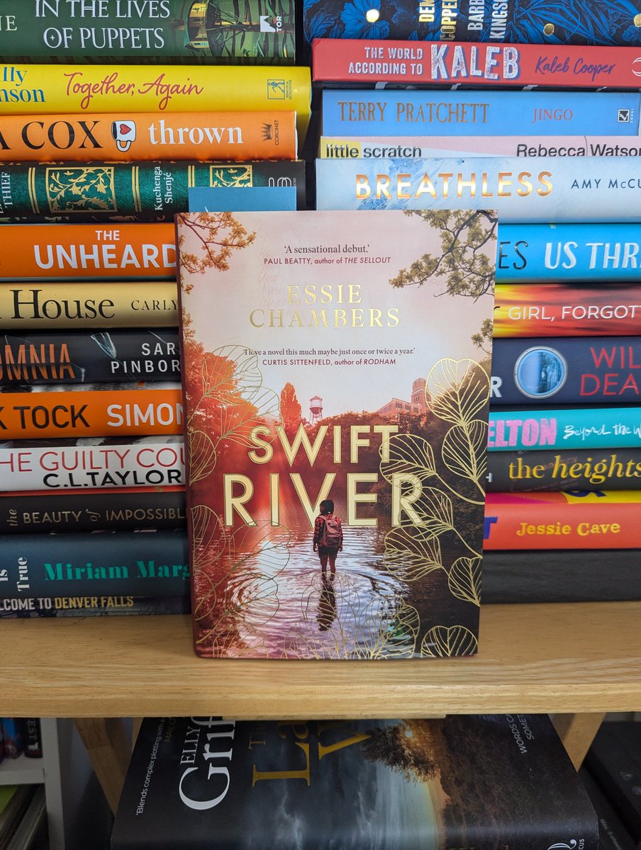 ChloeLS1's tweet photo. Thank you @FaneProductions for this copy of #SwiftRiver by @essiejchambers
What a beautiful book! https://t.co/mgpUGujHOe