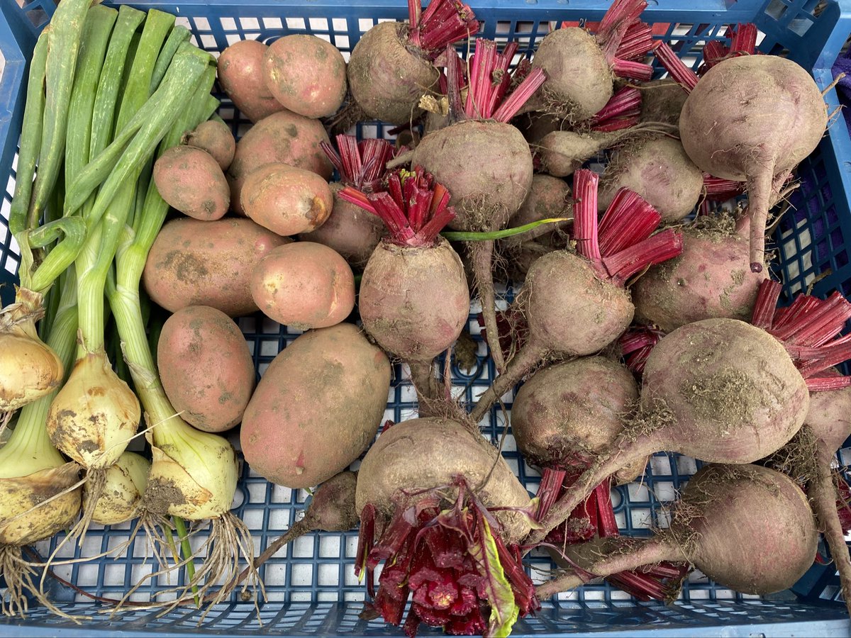 lwelsh's tweet image. Swapped my usual Sunday afternoon on CPOMS for digging, sorting and storing. Happy first weekend to those on Edutwitter who’ve broken up 🙌