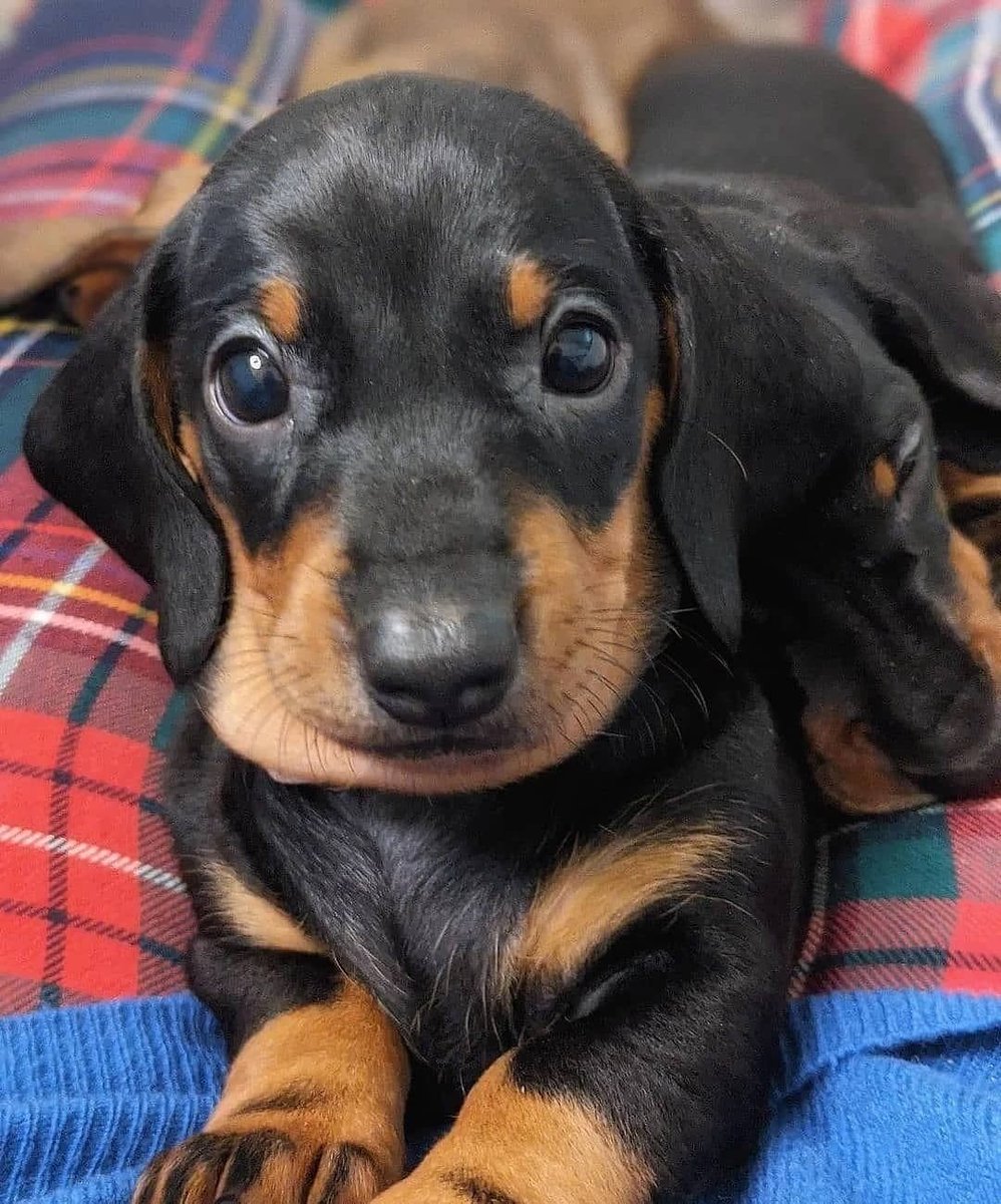 por  que  as  pessoas  continuam  sendo  rudes  i  babacas  quando  você  pode  simplesmente  Nao  ser  rude  i babaca