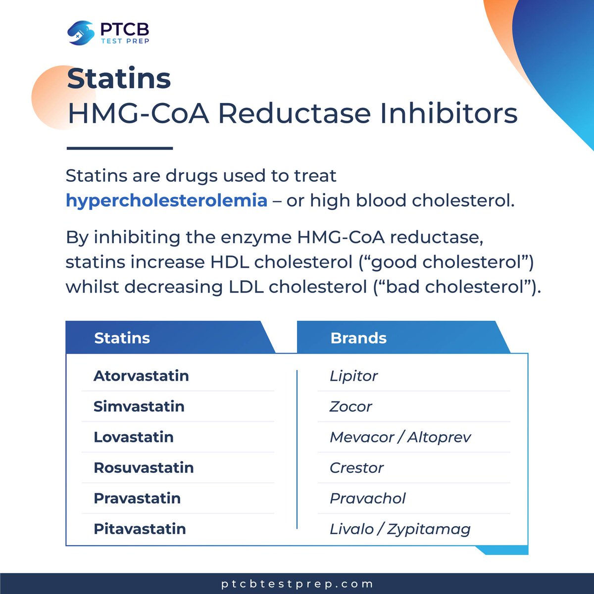 ptcbtestprep's tweet photo. Statins are among the most widely prescribed medicines in the treatment of high blood cholesterol.

Here, we have put together the mechanism as well as the major brand and generic drugs you need to know.

#statins #pharmacology #PTCBtest #PTCB #pharmacytechnician