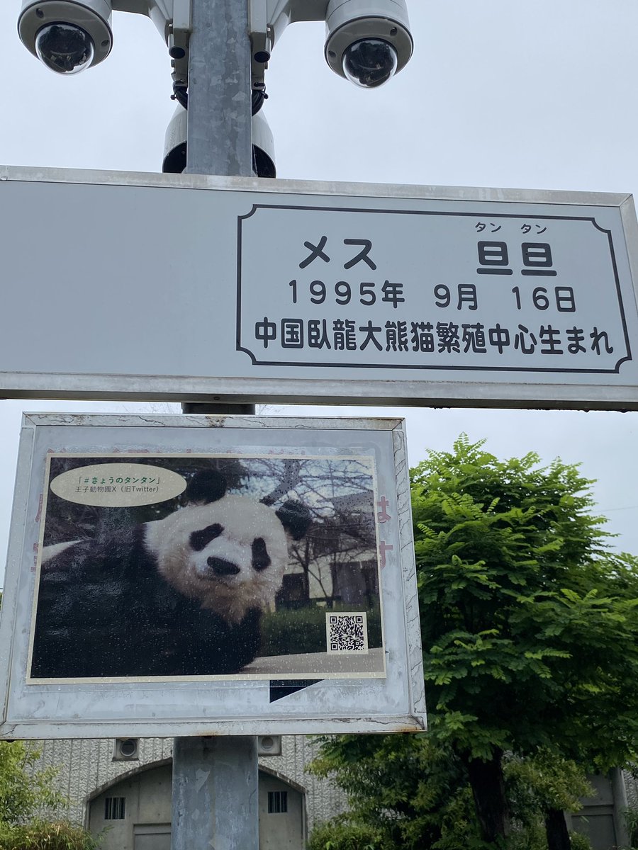 love_panda_rira's tweet photo. 大好きなたんたんさんに会いに行く旅は
毎回 #skymark  さまにお世話になっております✈️
今回このようなプレゼントまで🎁
ありがとうございます🐼🌻

翼の❤️を見るとラッキーな旅になりそうでワクワクします☺️
これからも宜しくお願いします
#flyskymark https://t.co/WeHscH1QRG