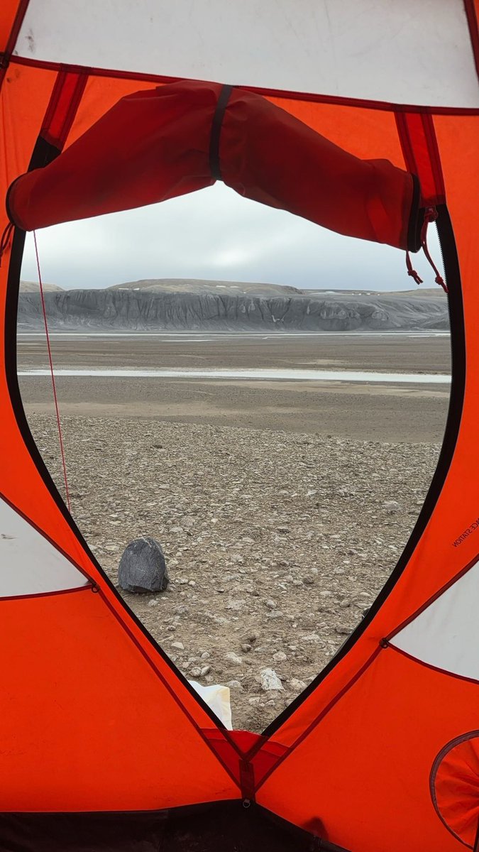 Simona Ruso, Ph.D. tweet media