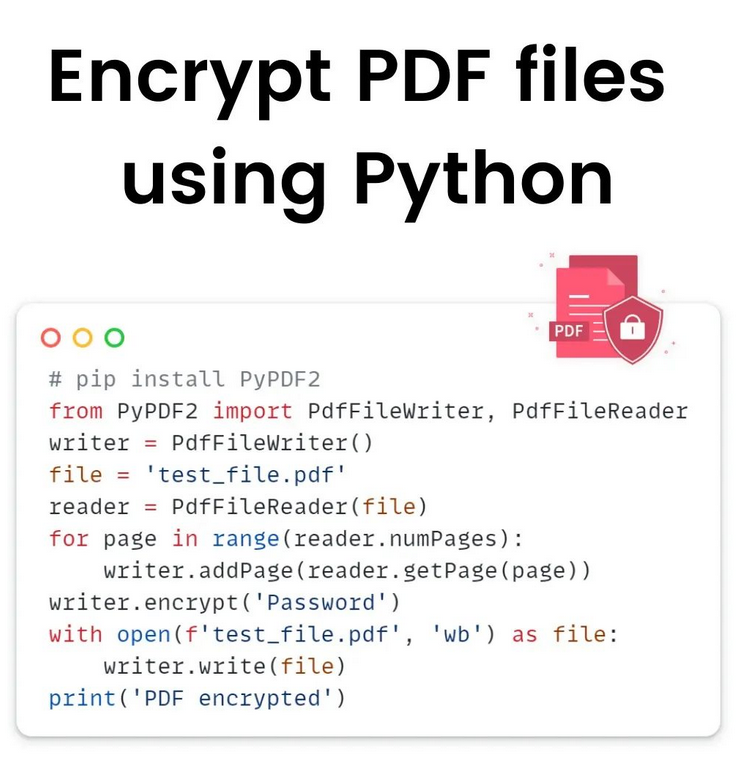 Python Developer tweet media