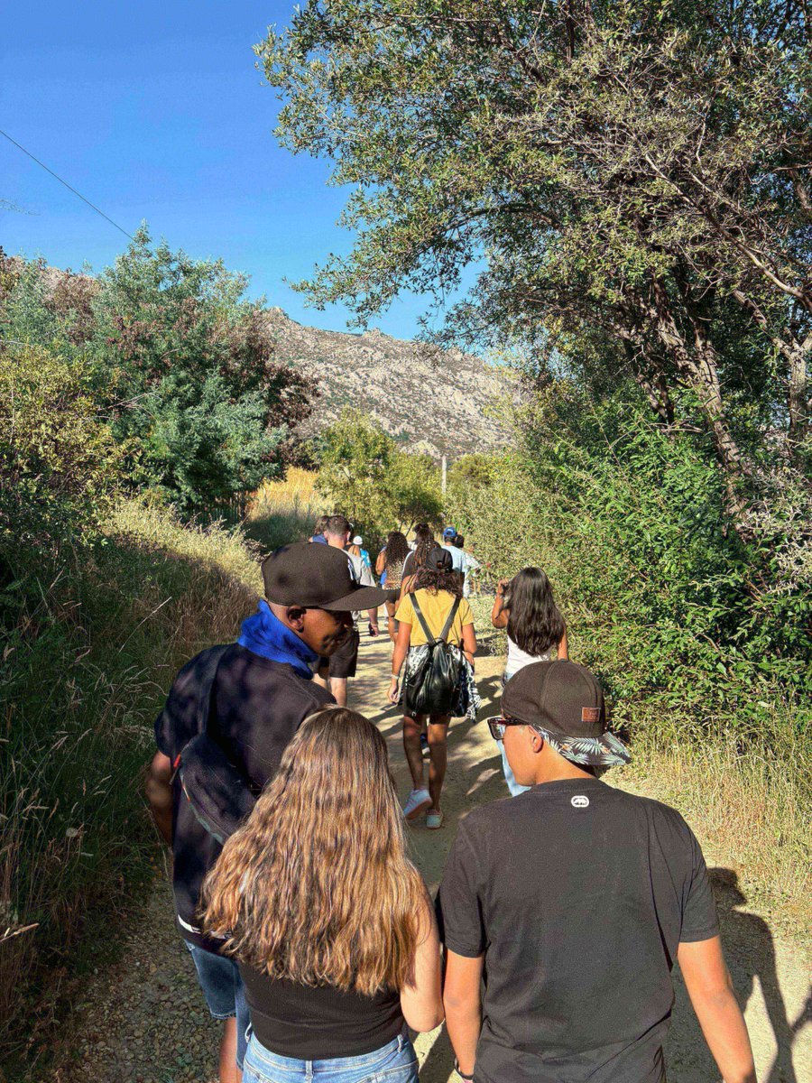 Plataforma Social Pan Bendito tweet media