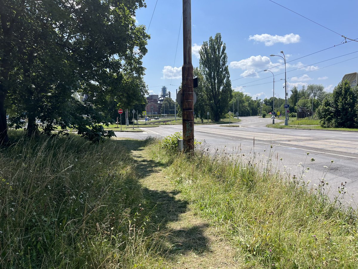 Jan Petrus tweet media