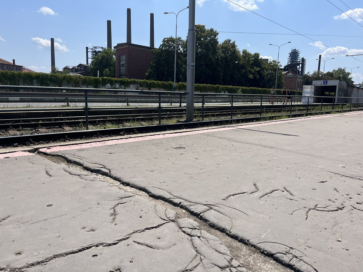 Jan Petrus tweet media