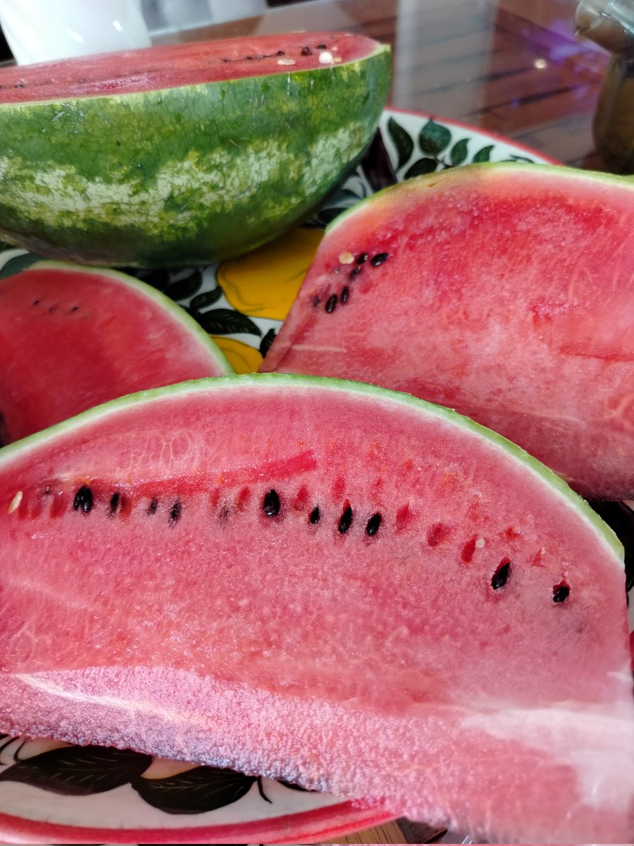 Watching a baby robot wash your living room floors to shine is a separate kind of pleasure)