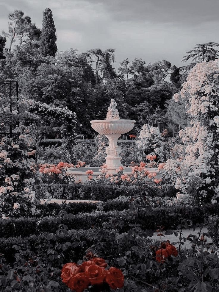𝓡𝓮𝓮𝓭 🌹 tweet media